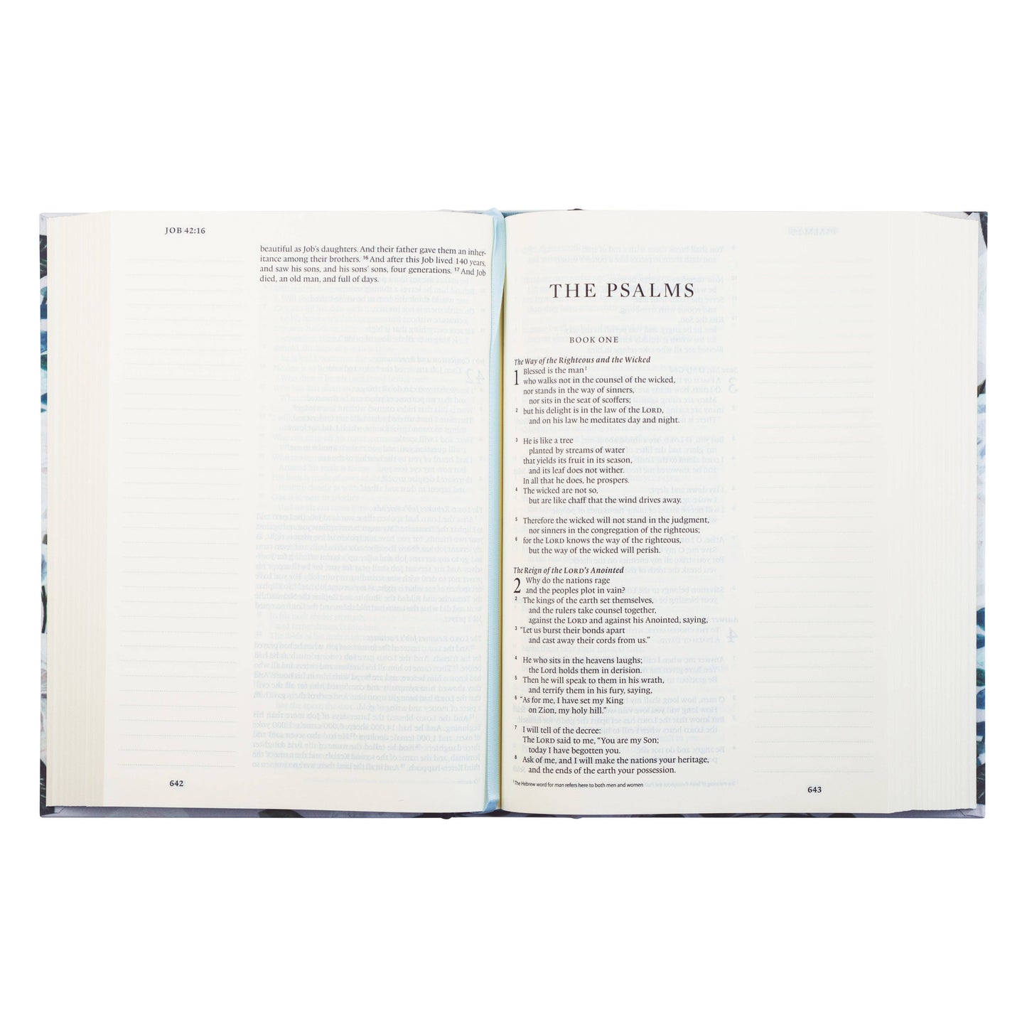 ESV Large Print Journaling Bible Victoria Theme
