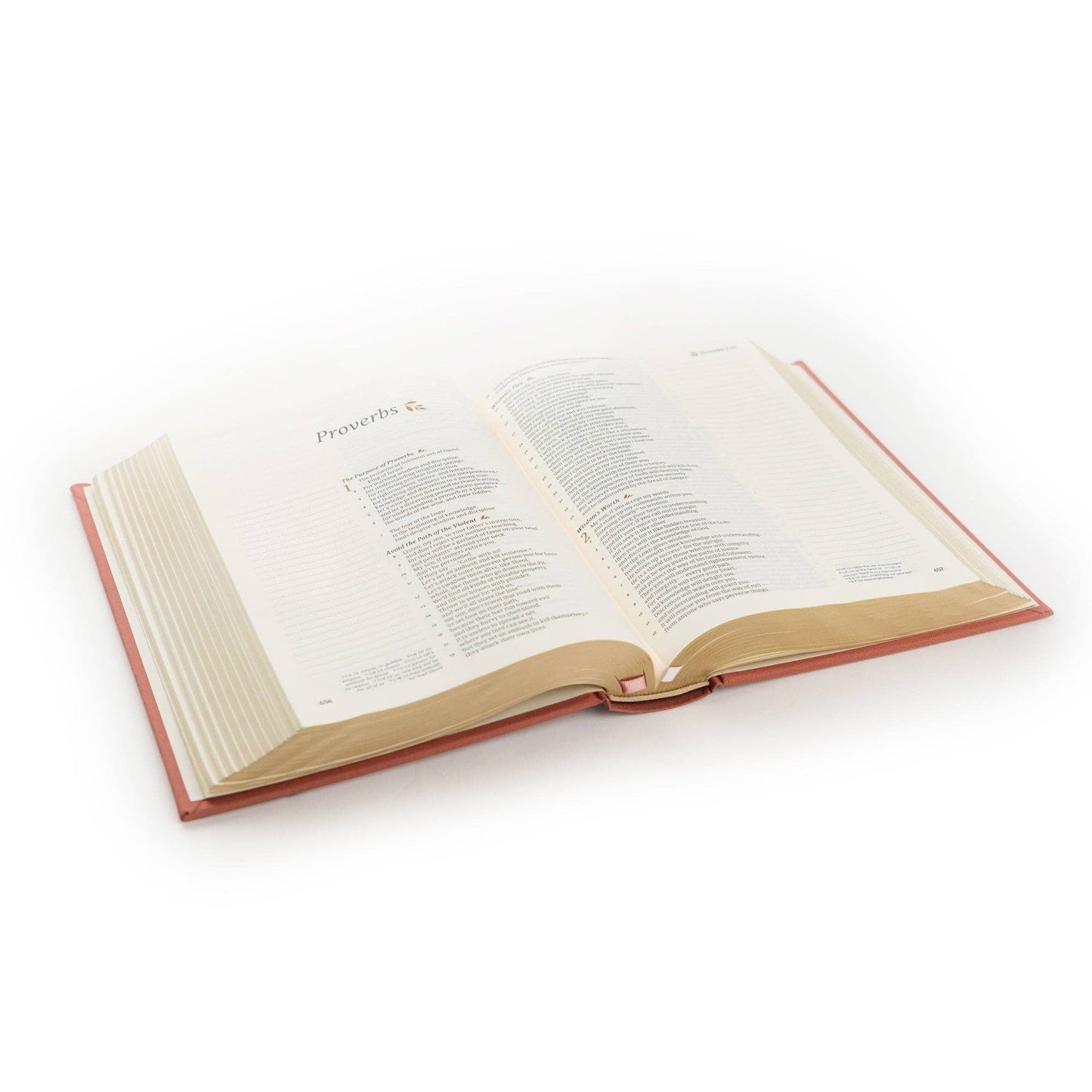 CSB Notetaking Bible Rosedal Theme