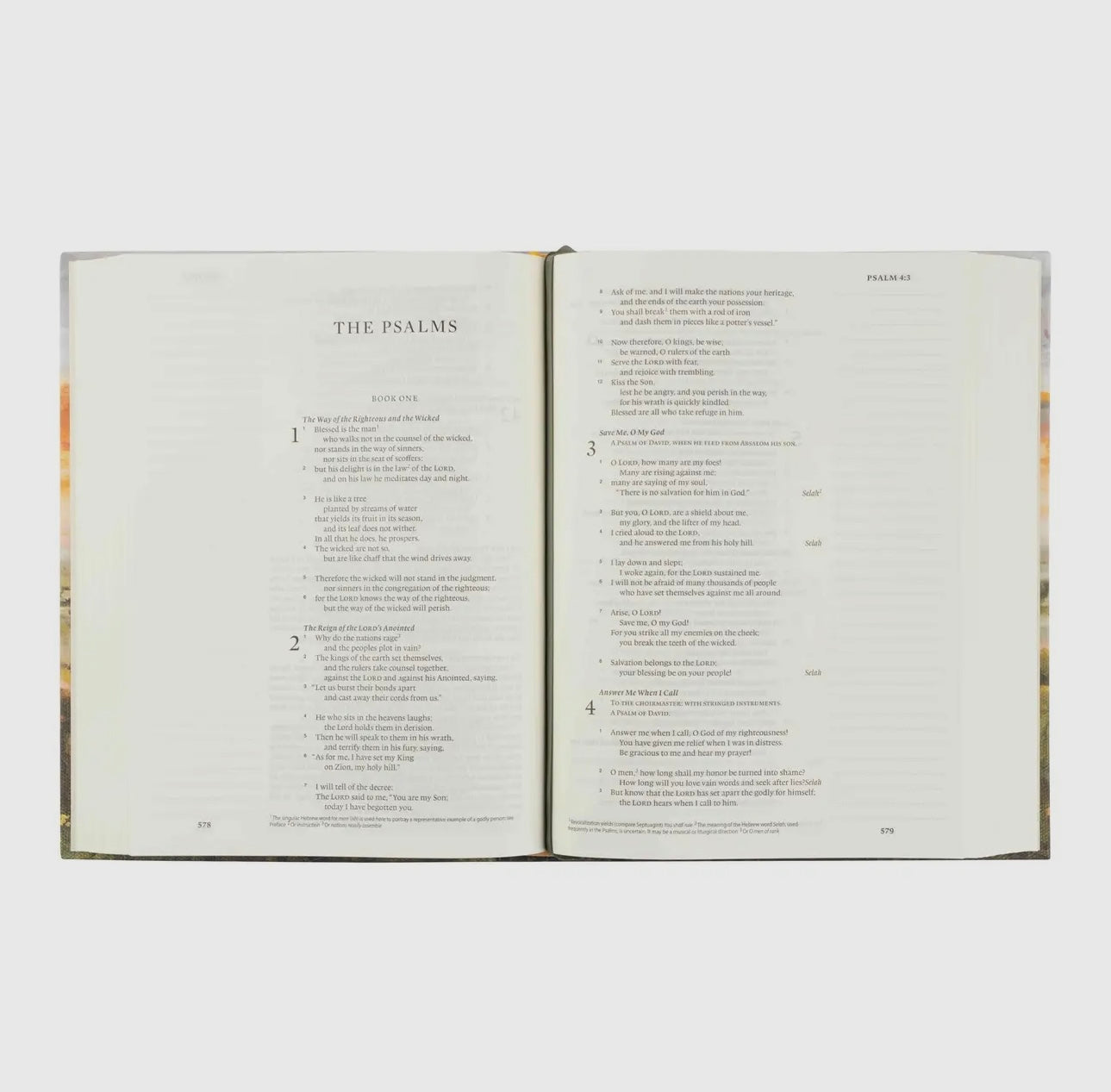 ESV Florence Theme Journaling Bible