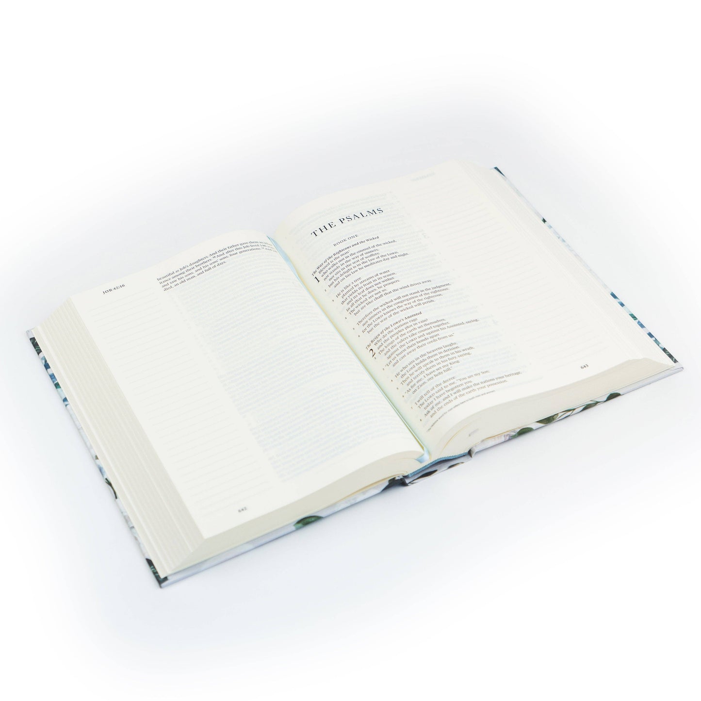 ESV Large Print Journaling Bible Victoria Theme
