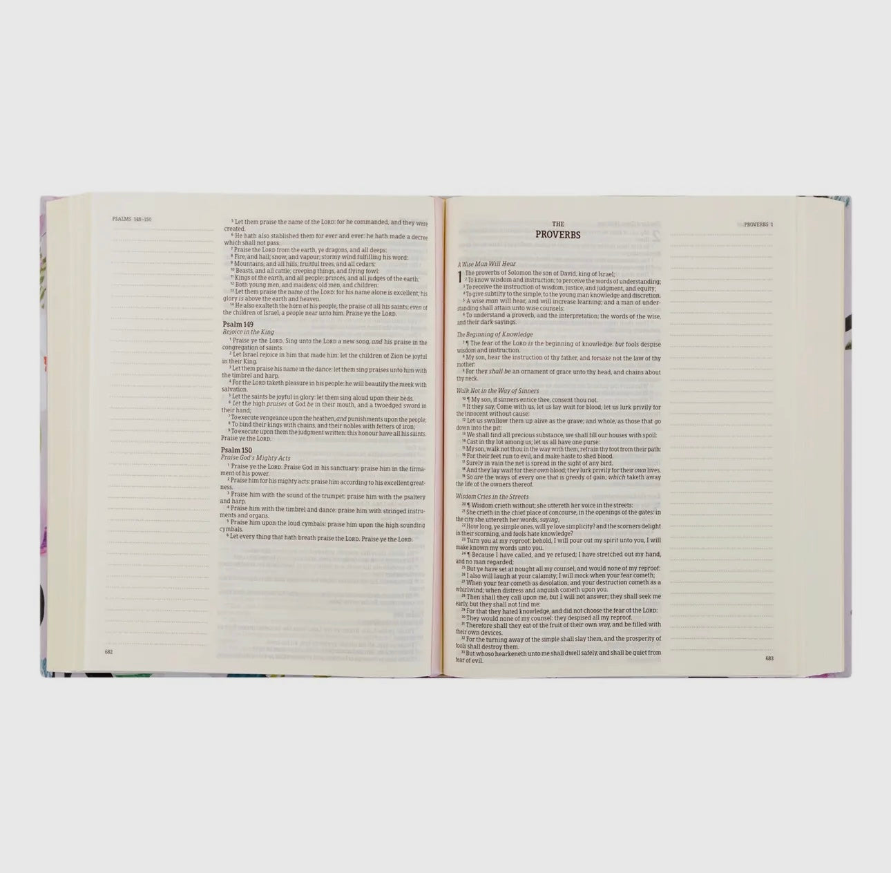 KJV Large Print Charlotte Theme Note-taking Bible