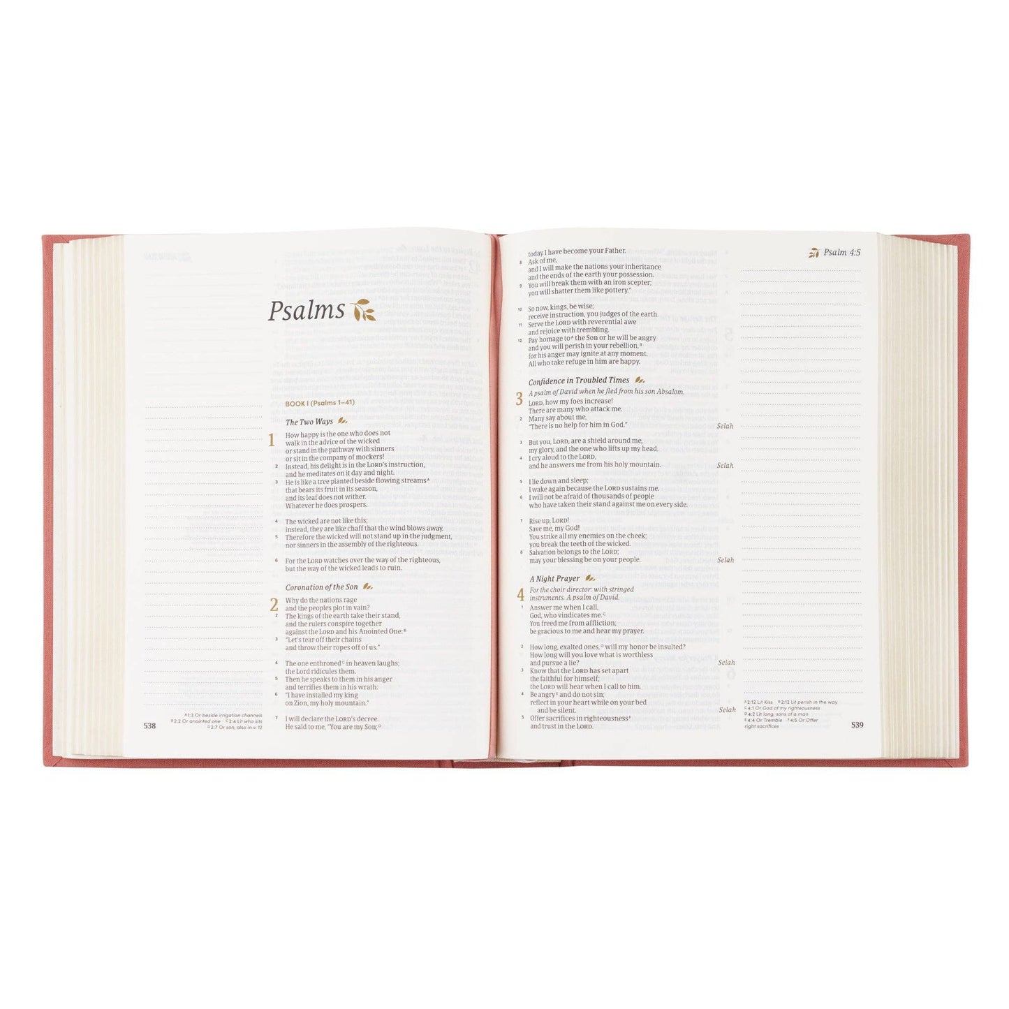 CSB Notetaking Bible Rosedal Theme