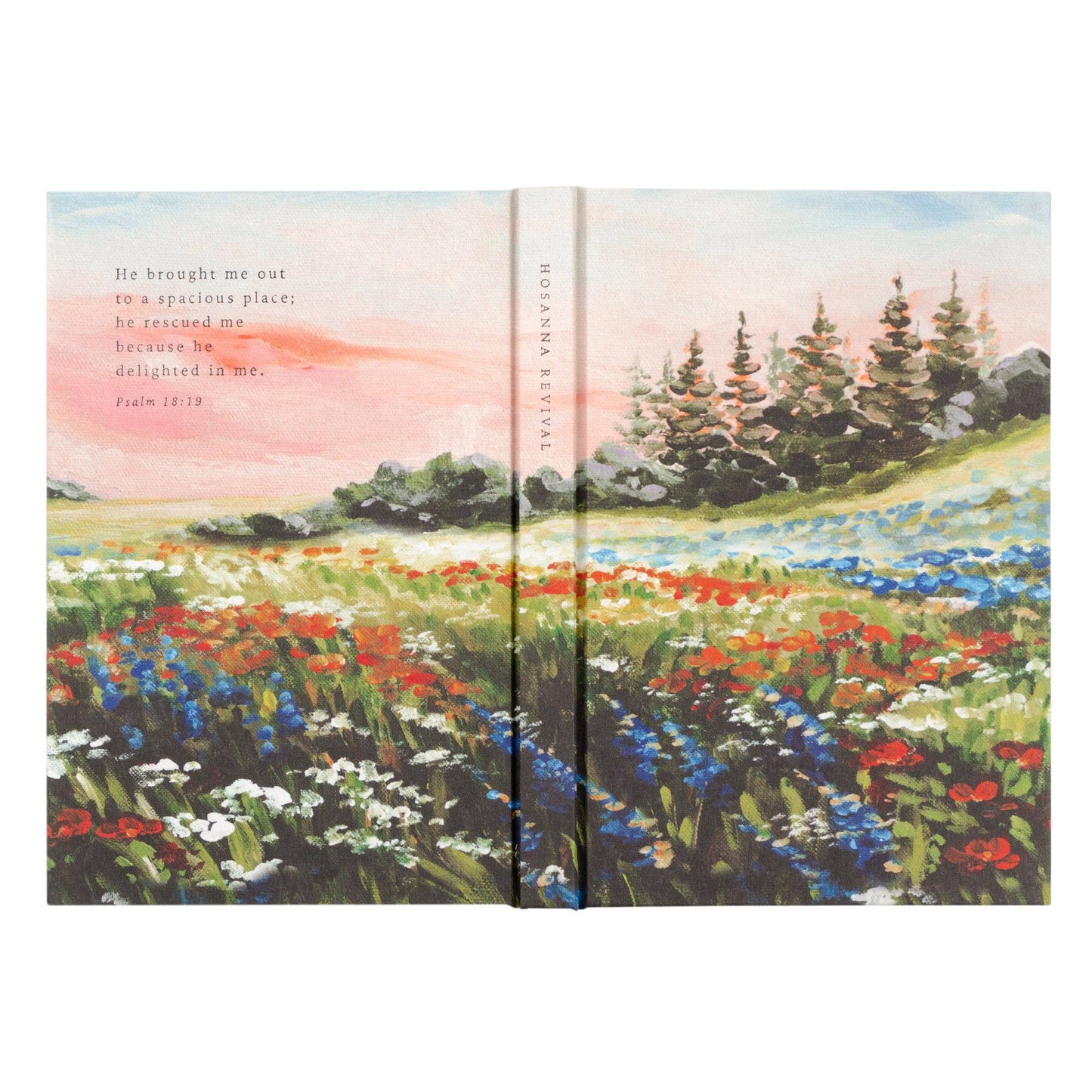 Notebook : Coram Theme