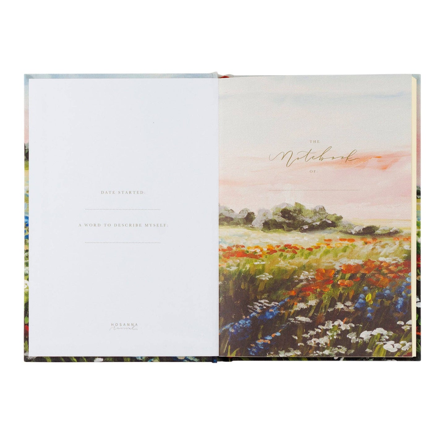 Notebook : Coram Theme