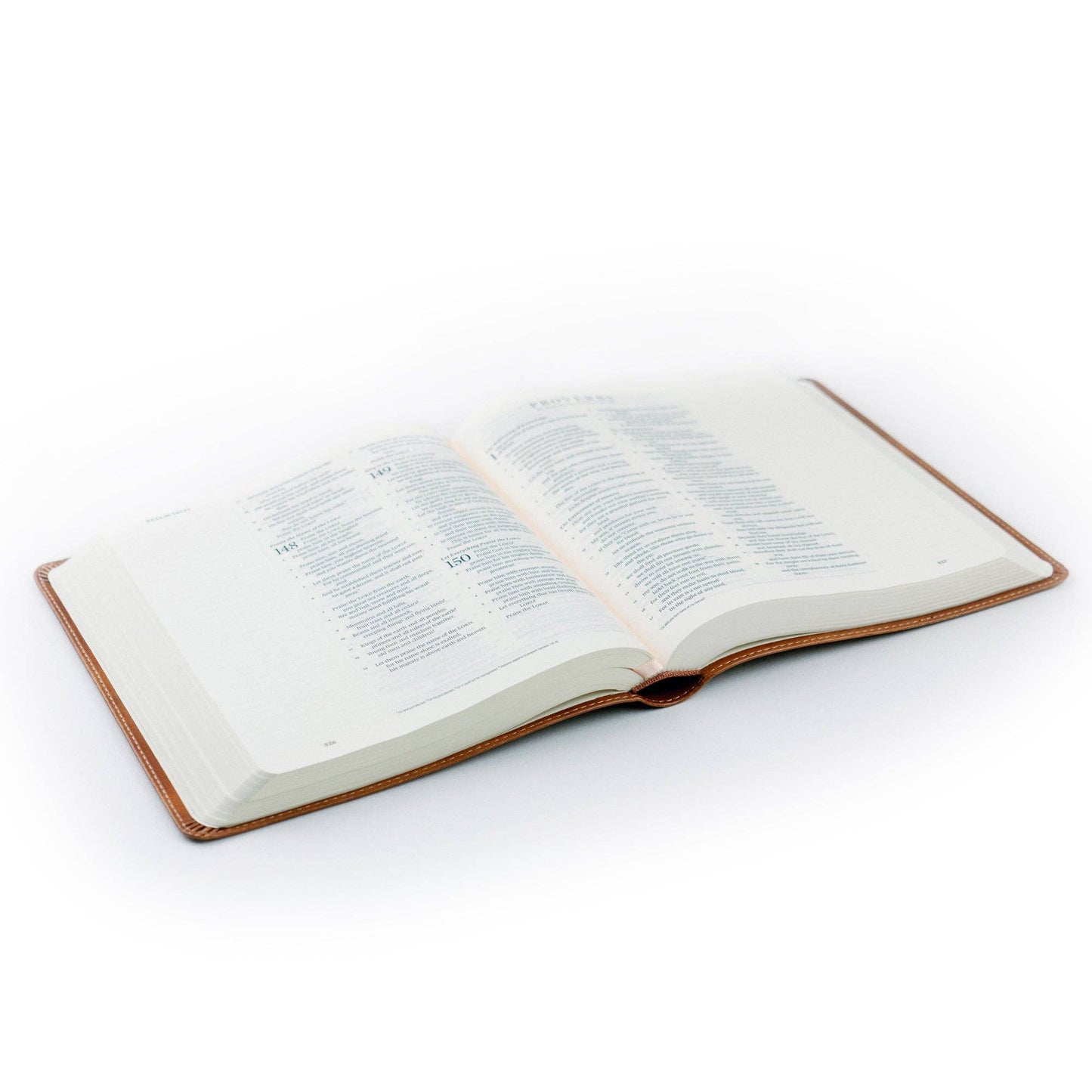 ESV Journaling Bible Sierra Theme