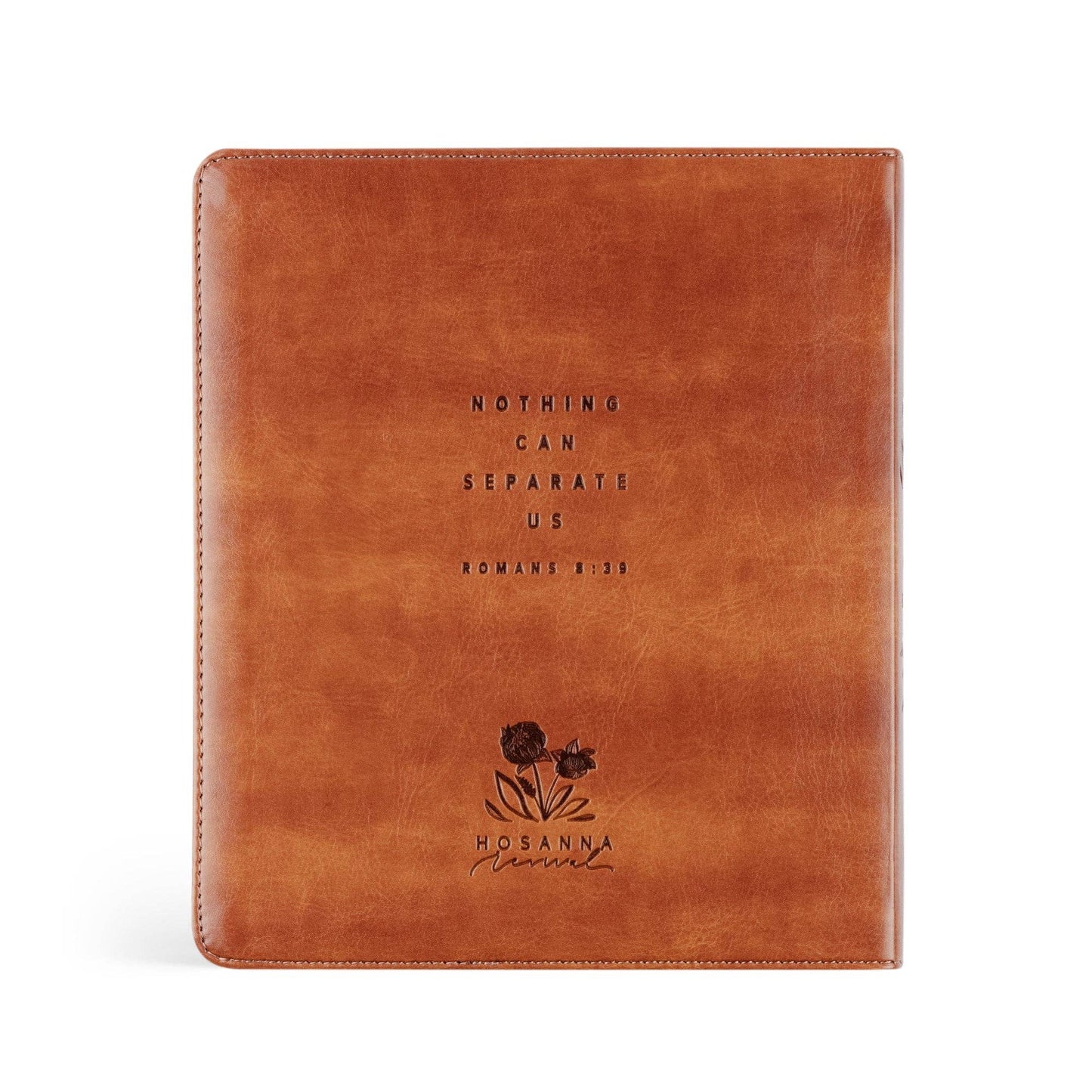 ESV Journaling Bible Sierra Theme