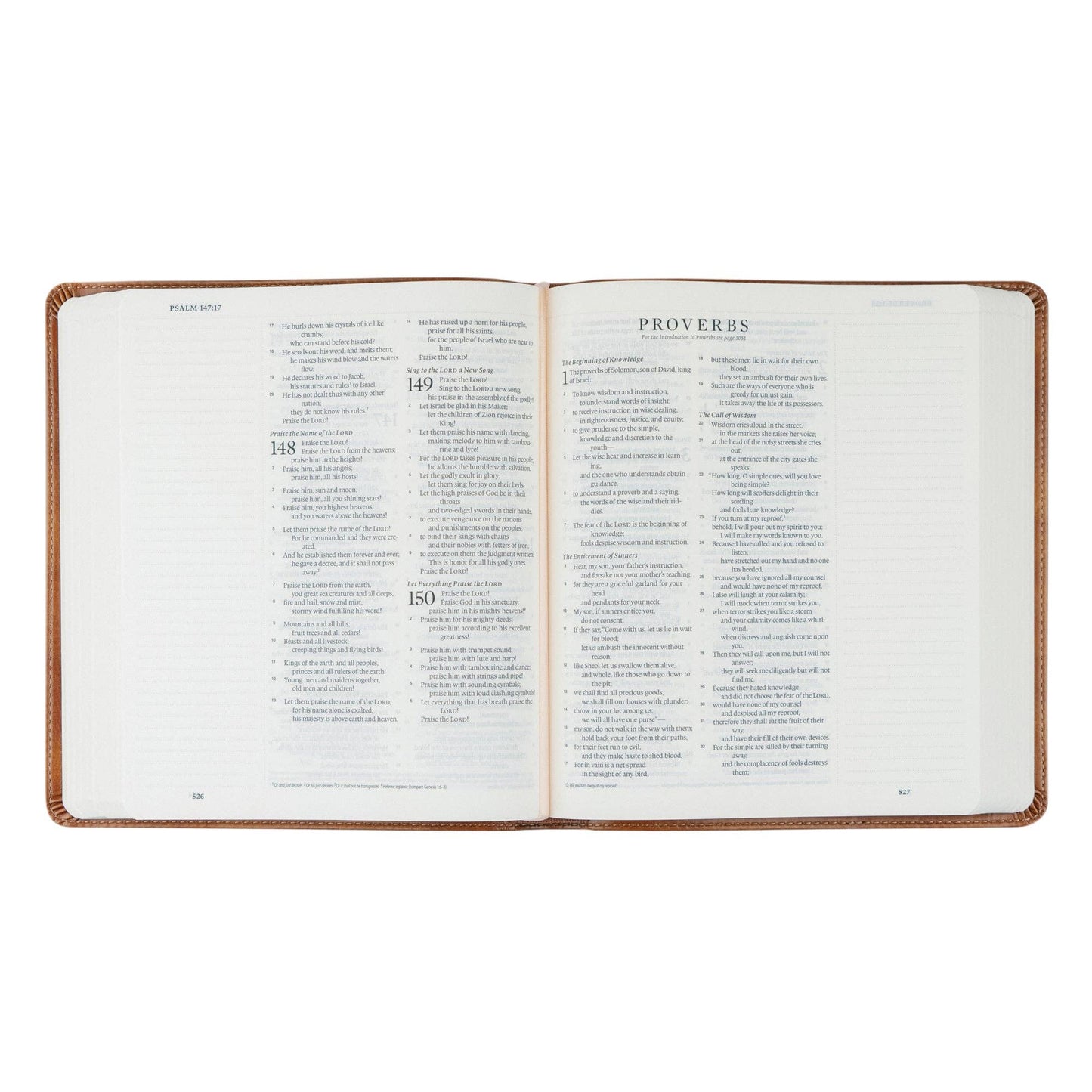 ESV Journaling Bible Sierra Theme
