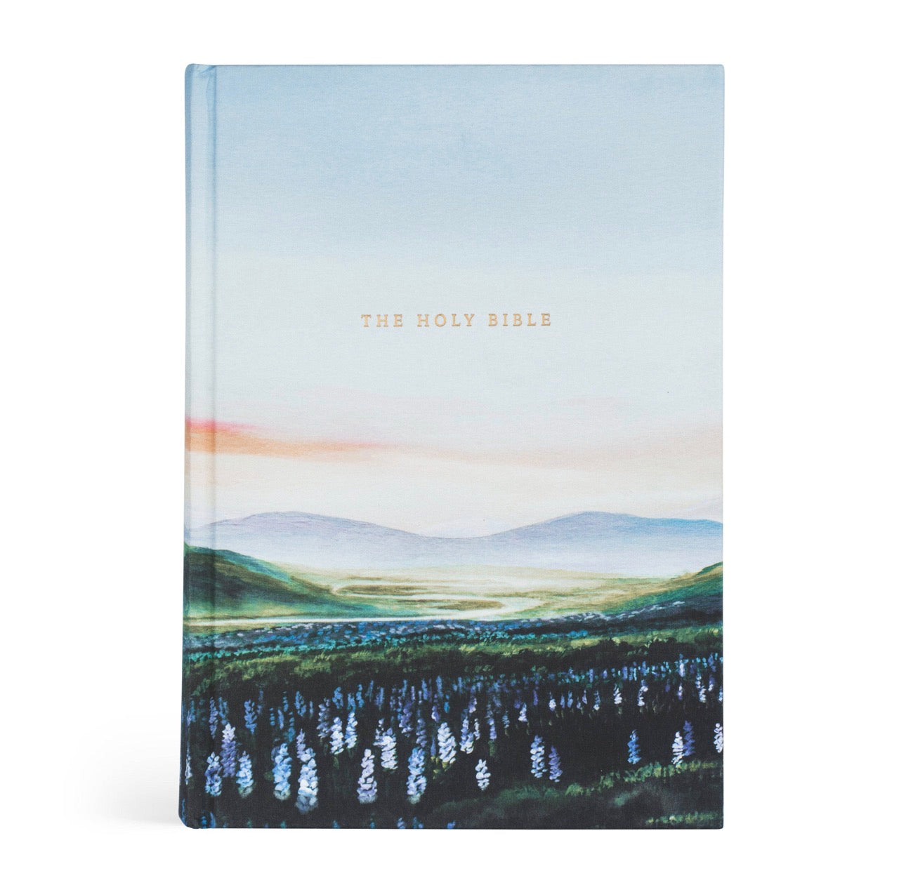 Bibles & Notebooks