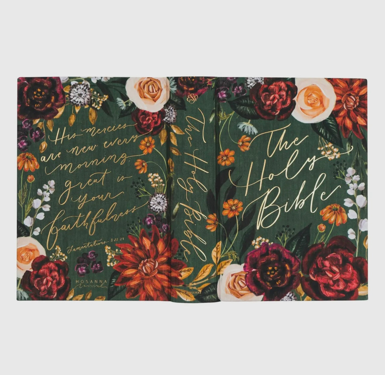 ESV Large Print Hollis Theme Journaling Bible