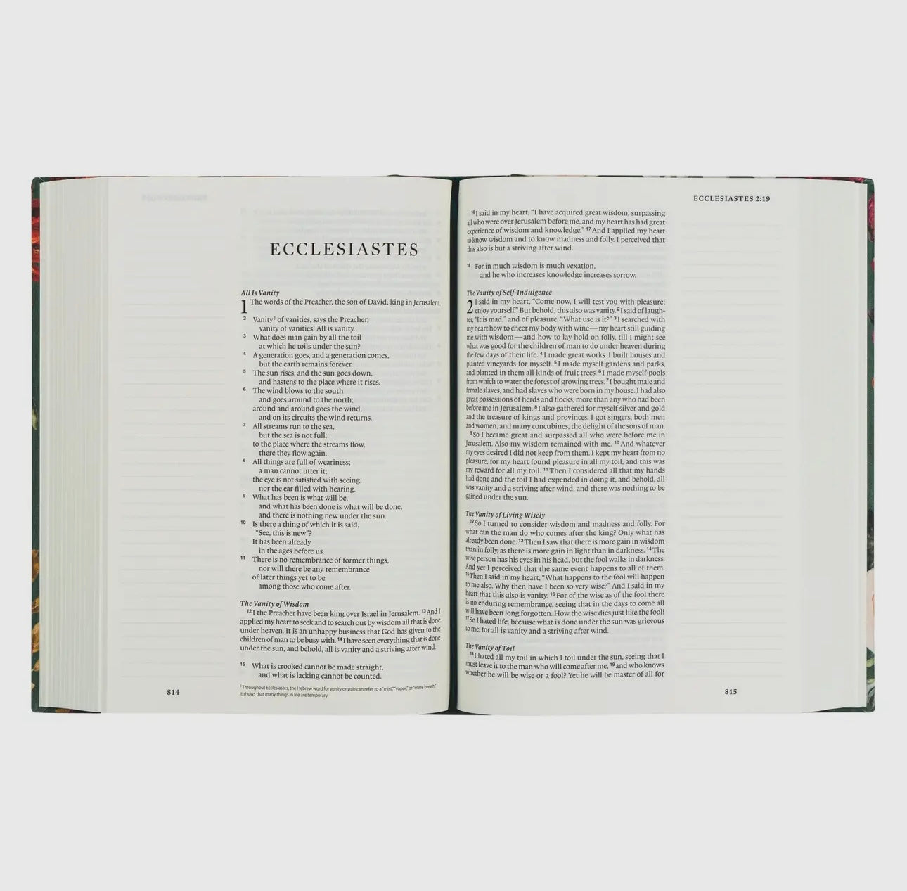 ESV Large Print Hollis Theme Journaling Bible