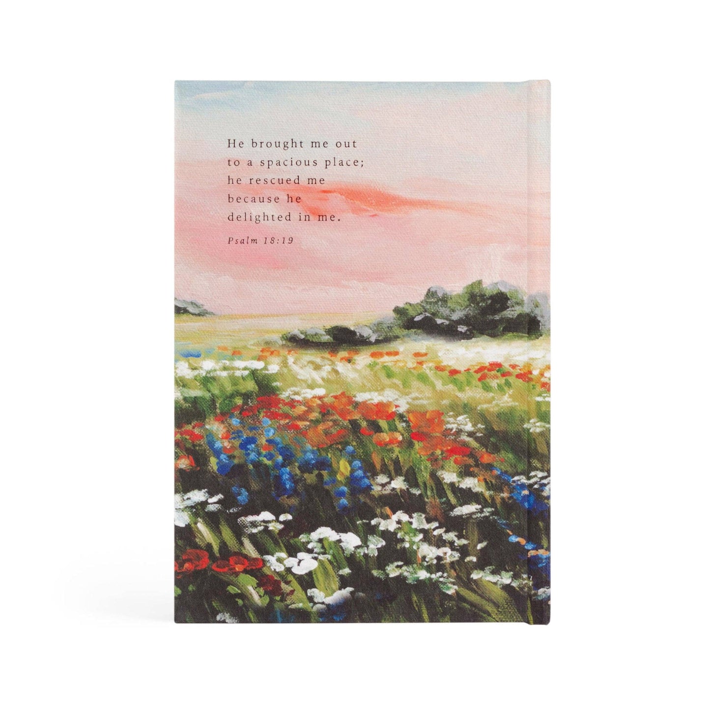 Notebook : Coram Theme